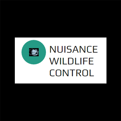 Nuisance Wildlife Control