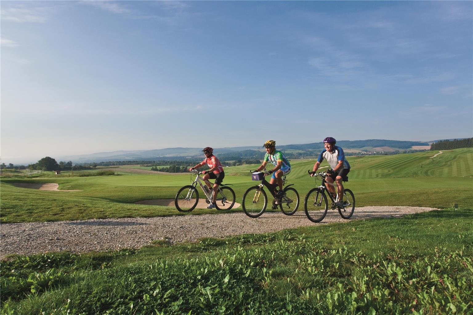 Best Western Aparthotel Birnbachhoehe, Am Aunhamer Berg 3 in Bad Birnbach