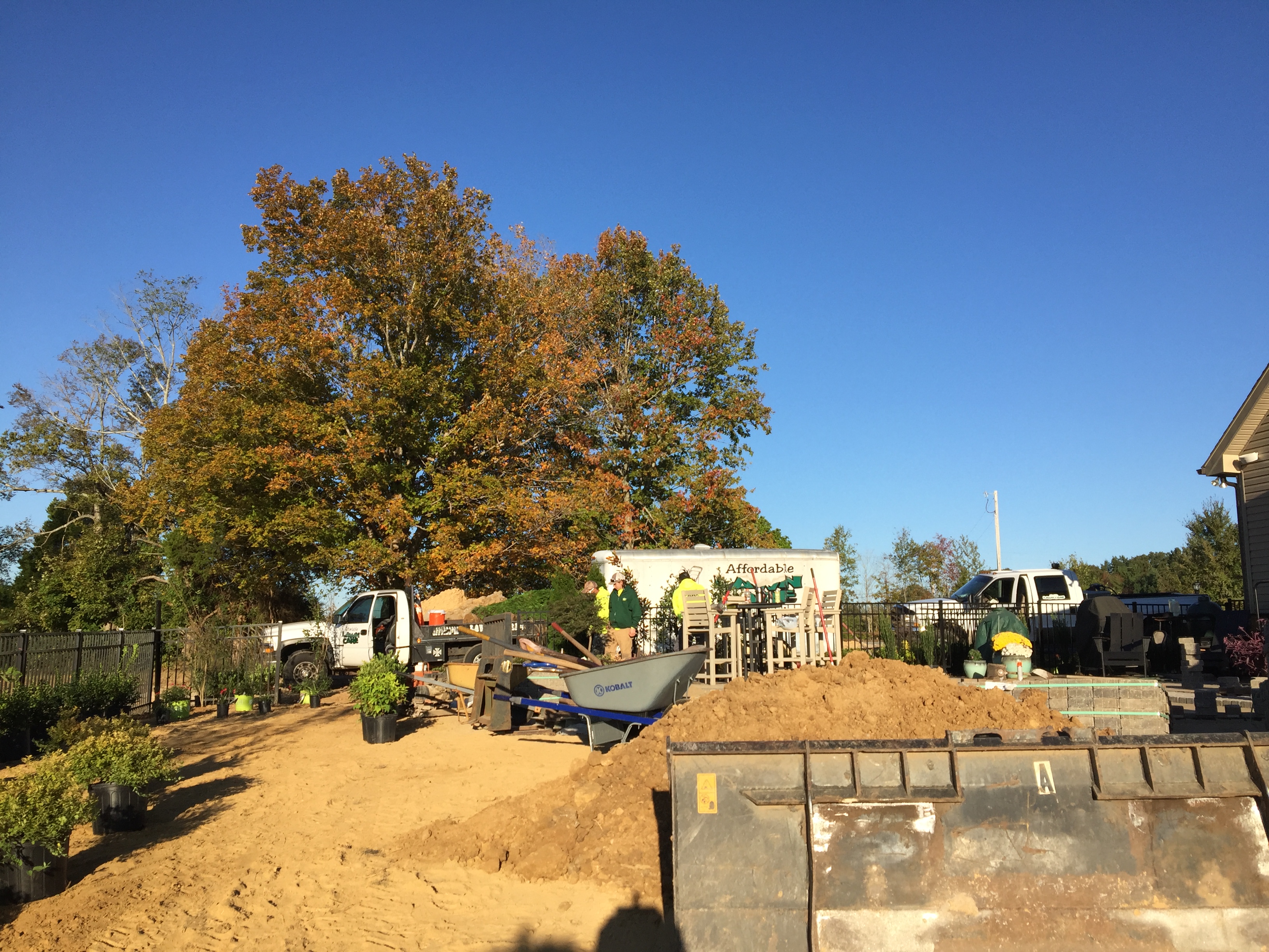 Affordable Lawn Care Image