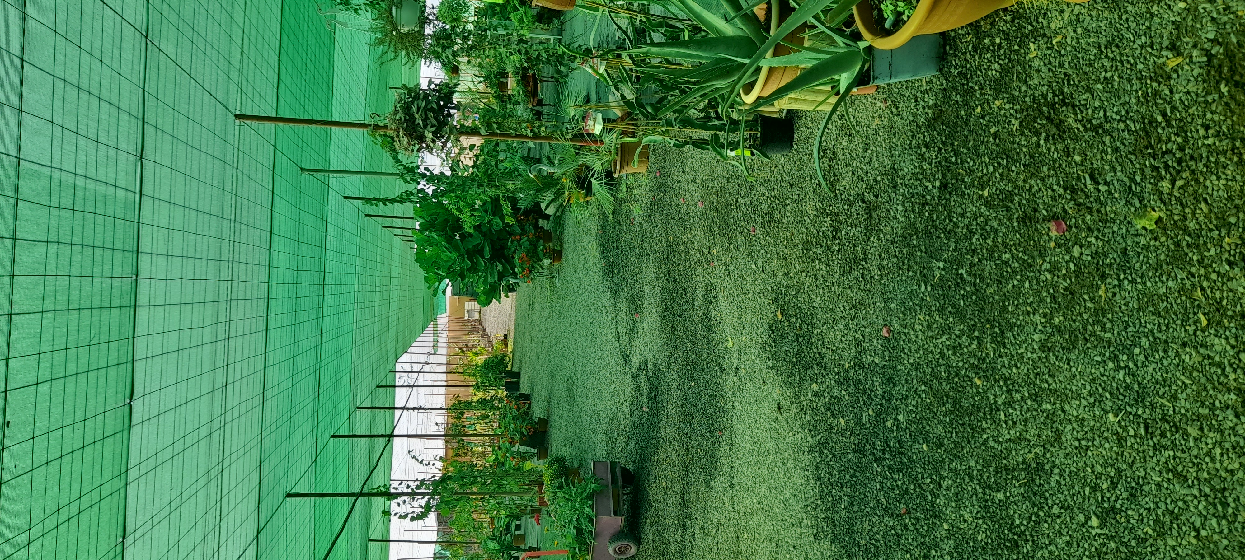 Images Vivero Arcoiris de Borriello Filomena