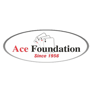 Ace Foundation Repair Inc Logo