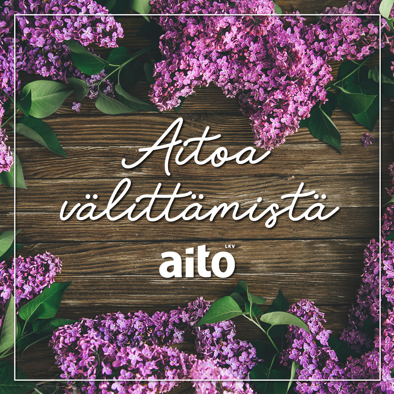 Images Aitoasunnot Oy