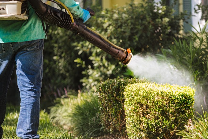 Images Critter Gitters Pest Management