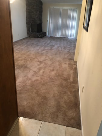 Images Carpet Pro Carpet Cleaning & Dyeing