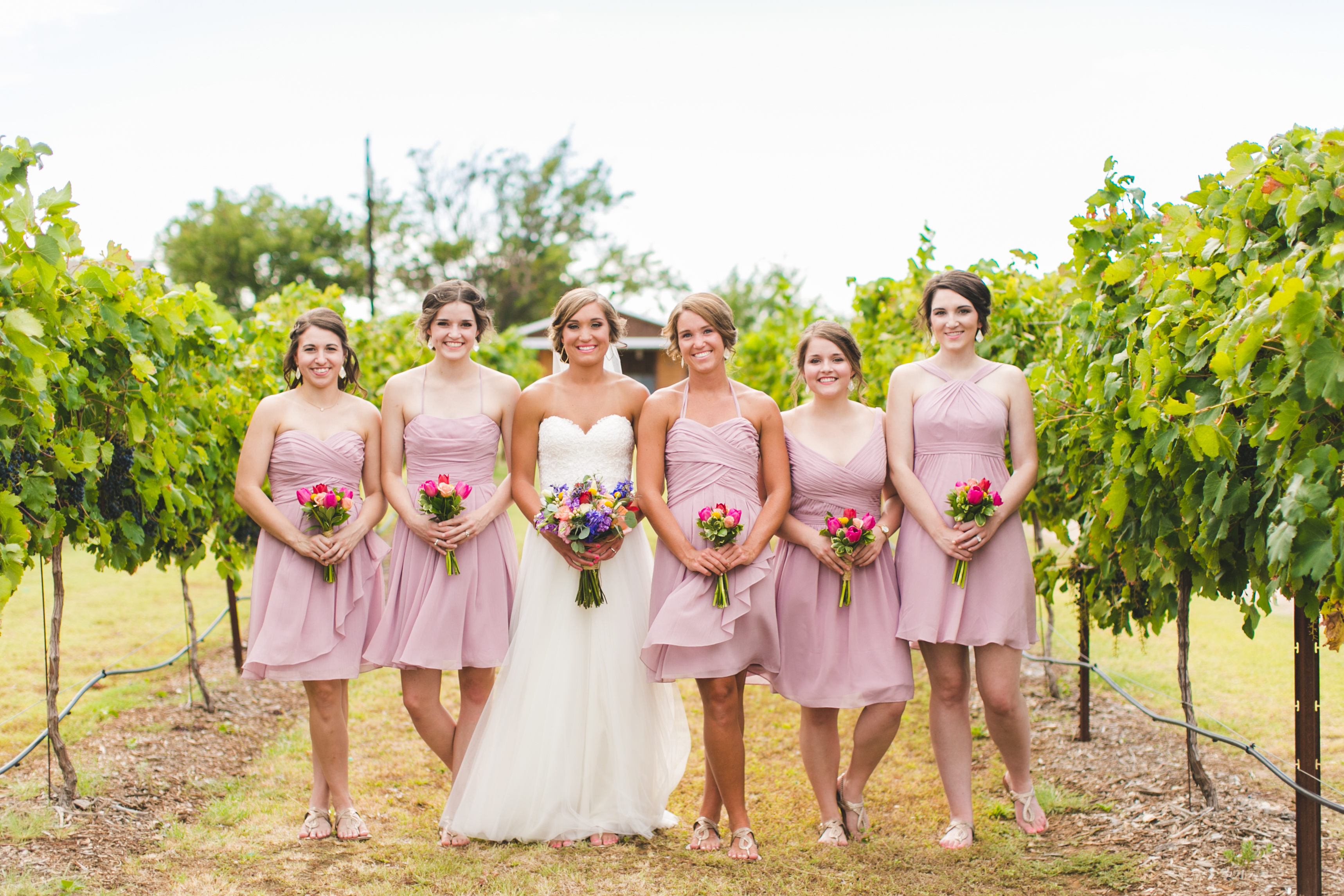 valley farms A rustic farm venue with a touch of elegance nestled in the beautiful valleys of west st charles county, valley farms is sure to be the perfect spot for you to begin your once-in-a-lifetime journey. valley farms A rustic farm venue with a touch of elegance nestled in the beautiful valleys of west st charles county, valley farms is sure to be the perfect spot for you to begin your once-in-a-lifetime journey.