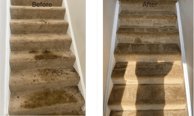 Images Premier Steam Cleaning