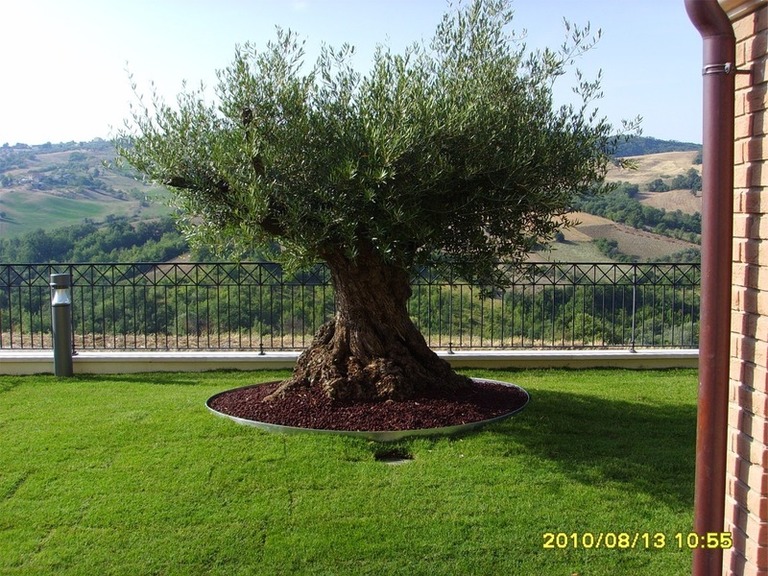 Images Florgarden