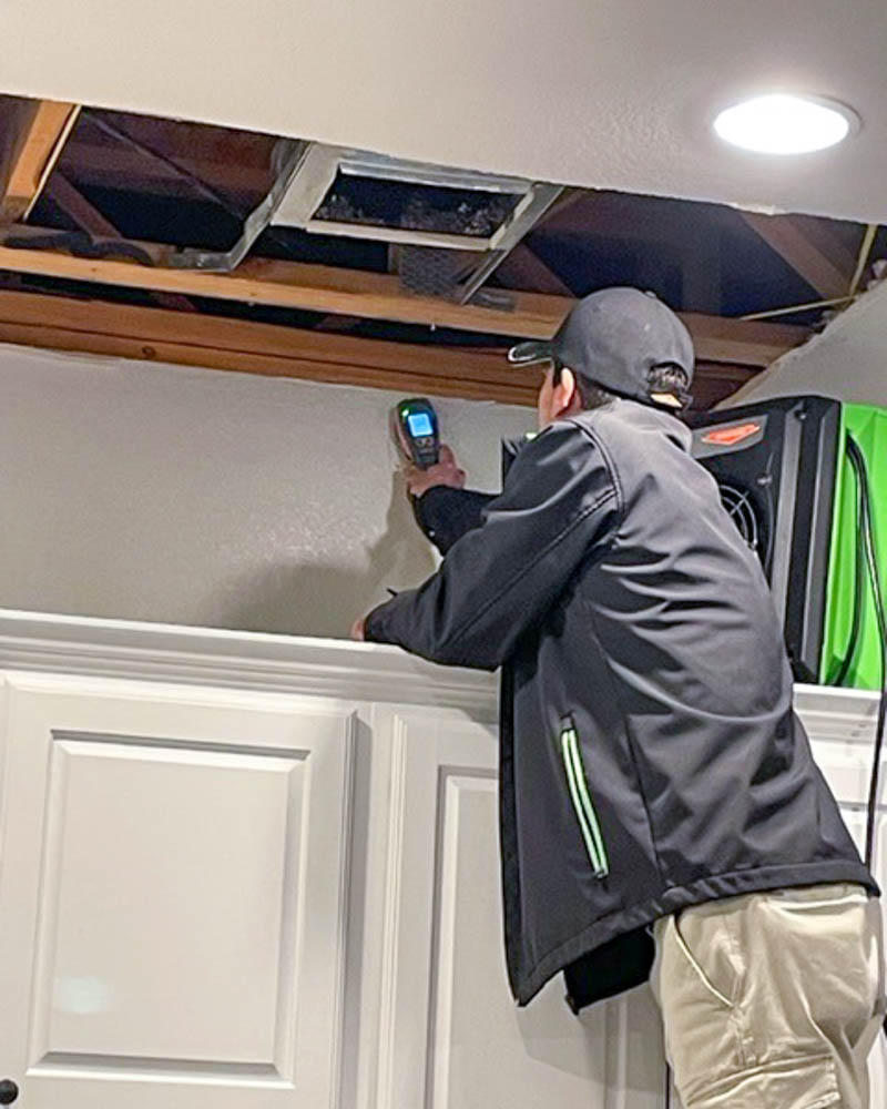 Mold can spread quickly, so SERVPRO of Taylor, Elgin is ready to help. We provide the best quality services to help you keep your home and family safe in Elgin, TX.