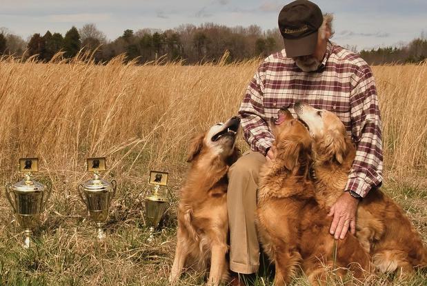Images Performance Bred Golden Retrievers
