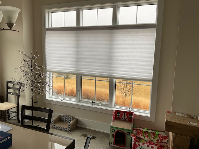 Give your lounge the perfect blend of privacy and light with these Trilight Honeycomb Shades from Budget Blinds in Sleepy Hollow, New York! Not only are they stylish and versatile, but they're also energy-efficient, helping you save money on your heating and cooling bills - winner!