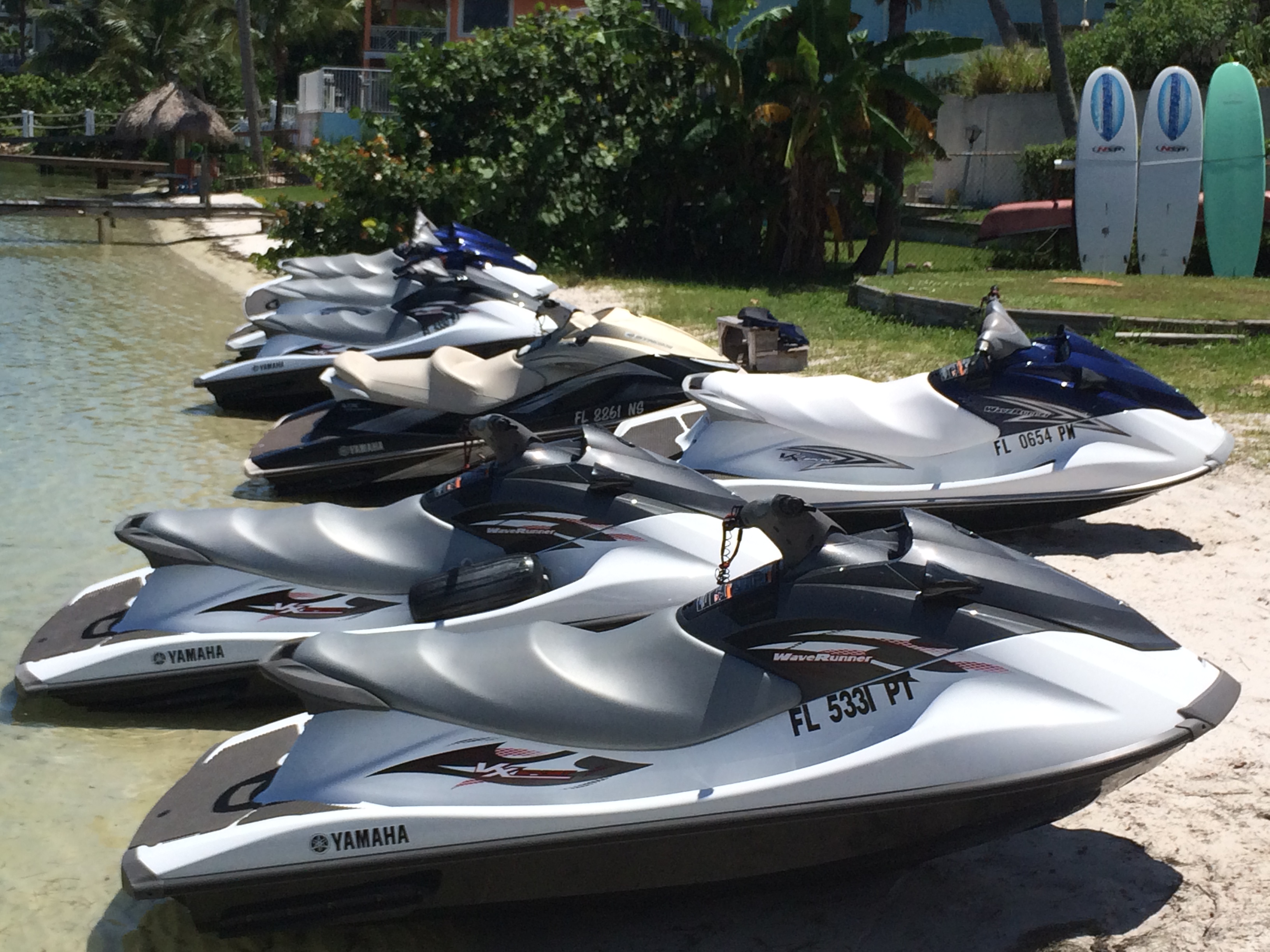 Beach Water Sports Coupons near me in Stuart | 8coupons