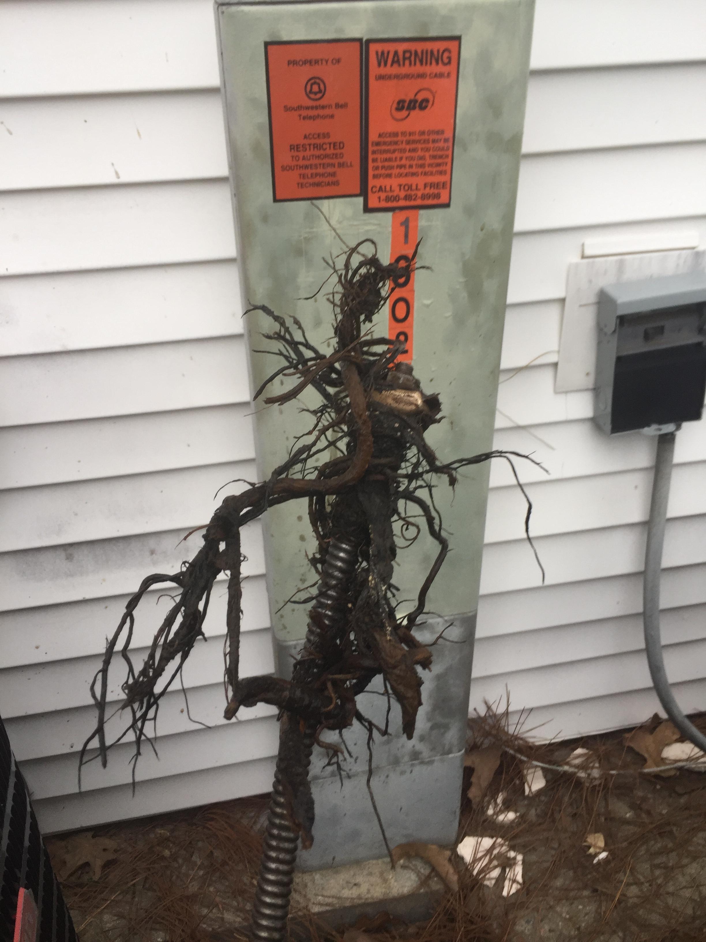 Affordable Rooter Service, LLC