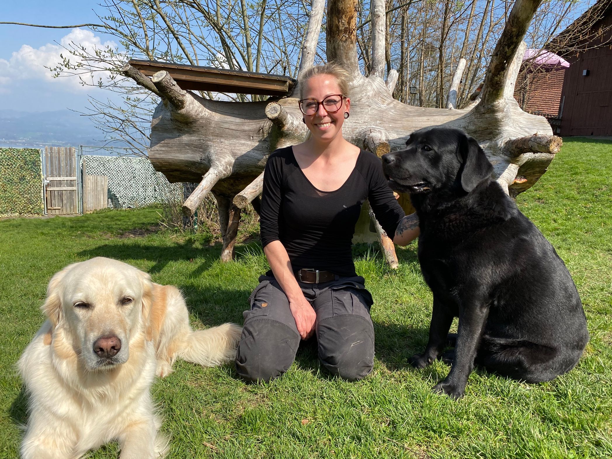 Bilder Alpepfötli GmbH