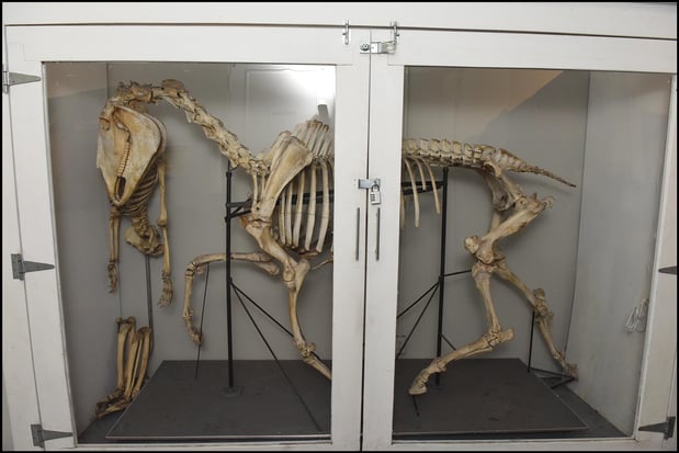 Images Gage Academy of Art