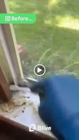 Images Blive House and Commercial Cleaning Service