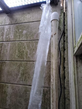 Images My Carpet Cleaning & Restoration Service