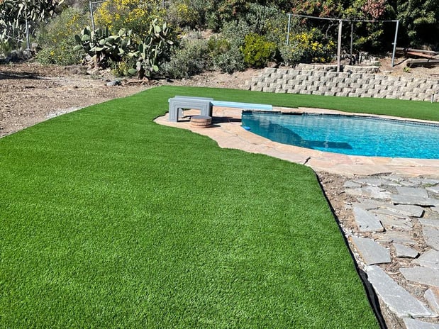 Images Best Green Grass