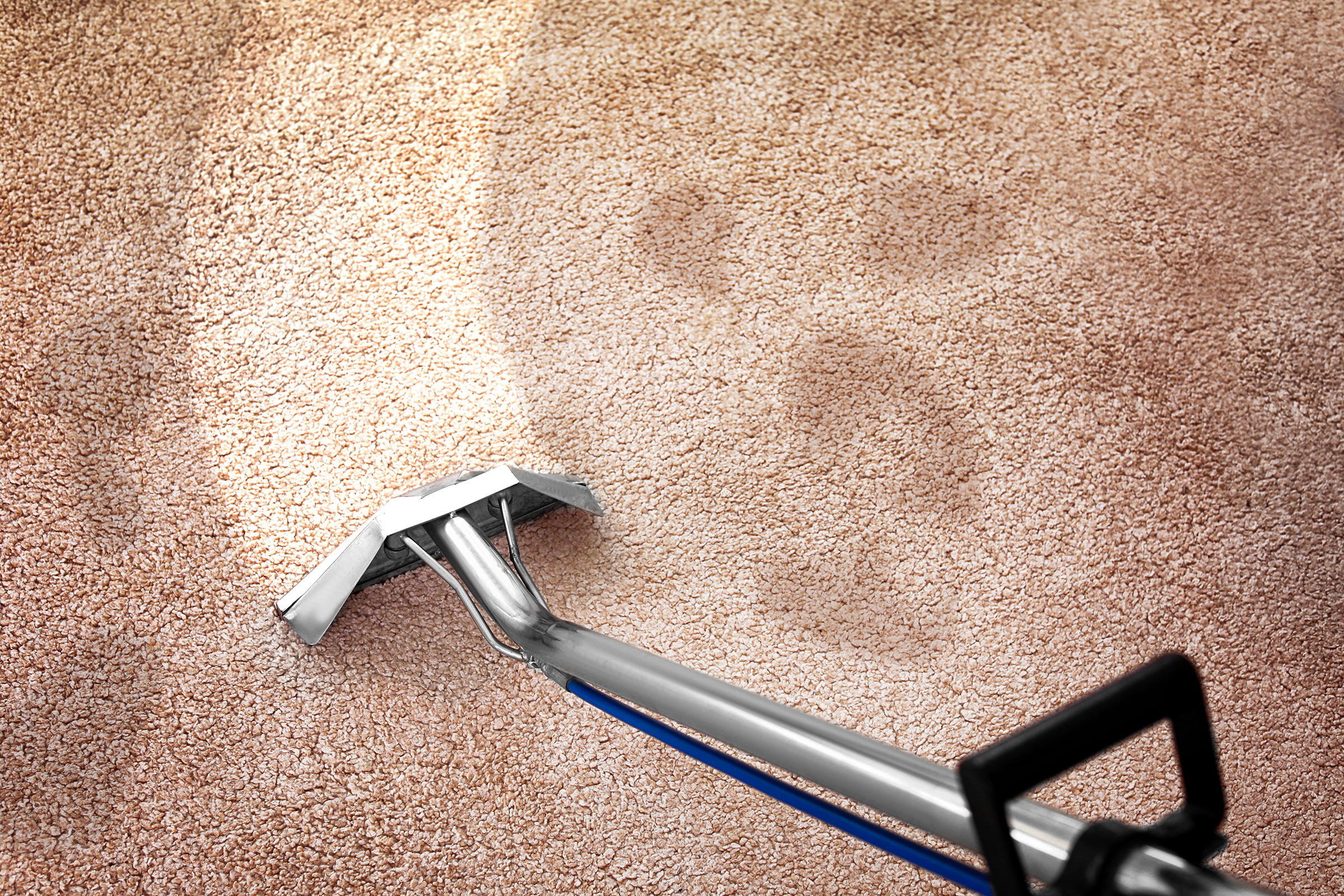 West Coast Carpet Cleaning
