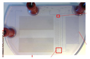 Hubertus Goller GesmbH, Donaustrasse 110 in Klosterneuburg
