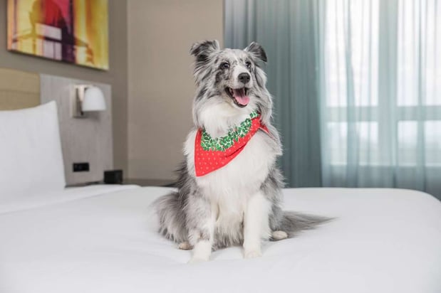 Images DoubleTree by Hilton Hotel New York Times Square West