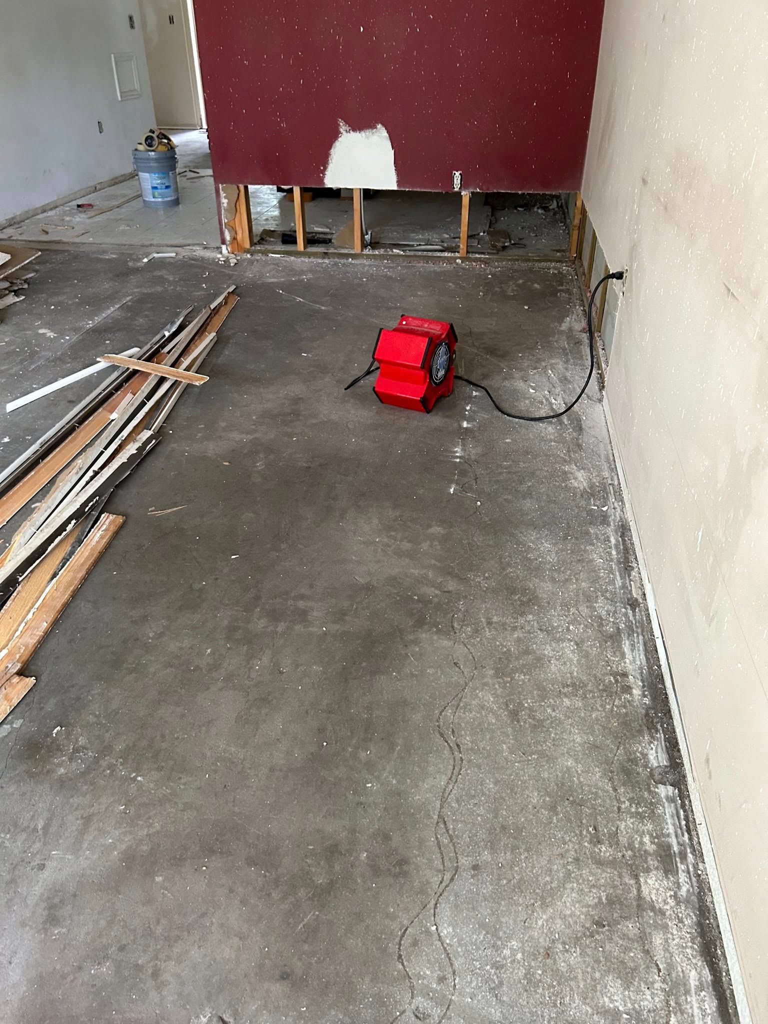 Williamson Painting Image