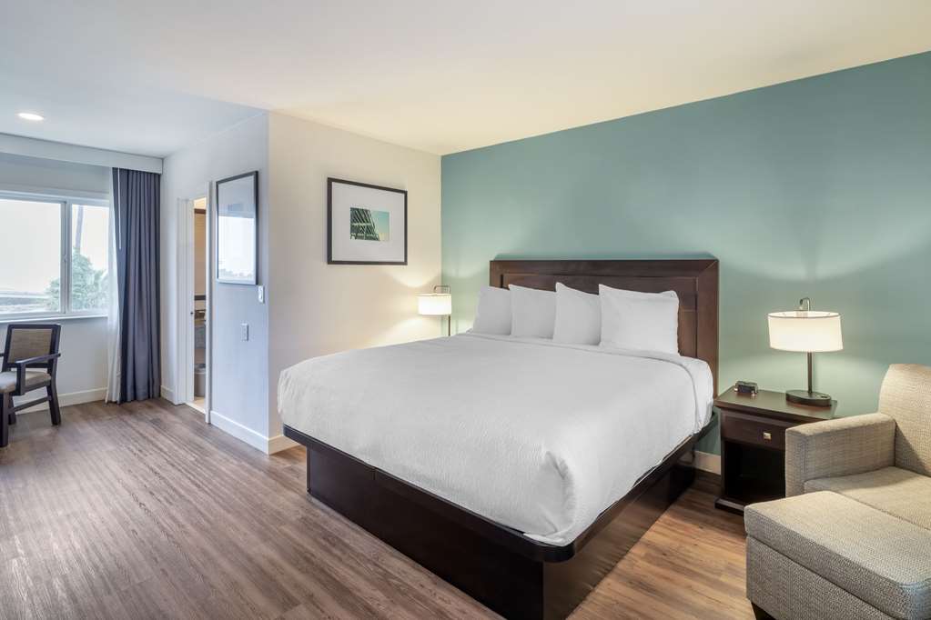 King Room