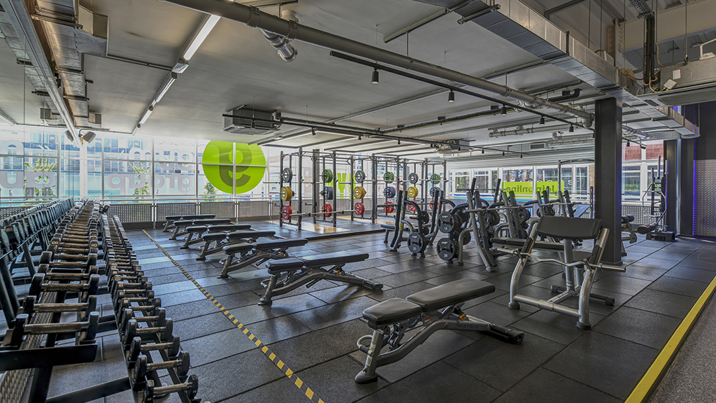 Free Weights Area