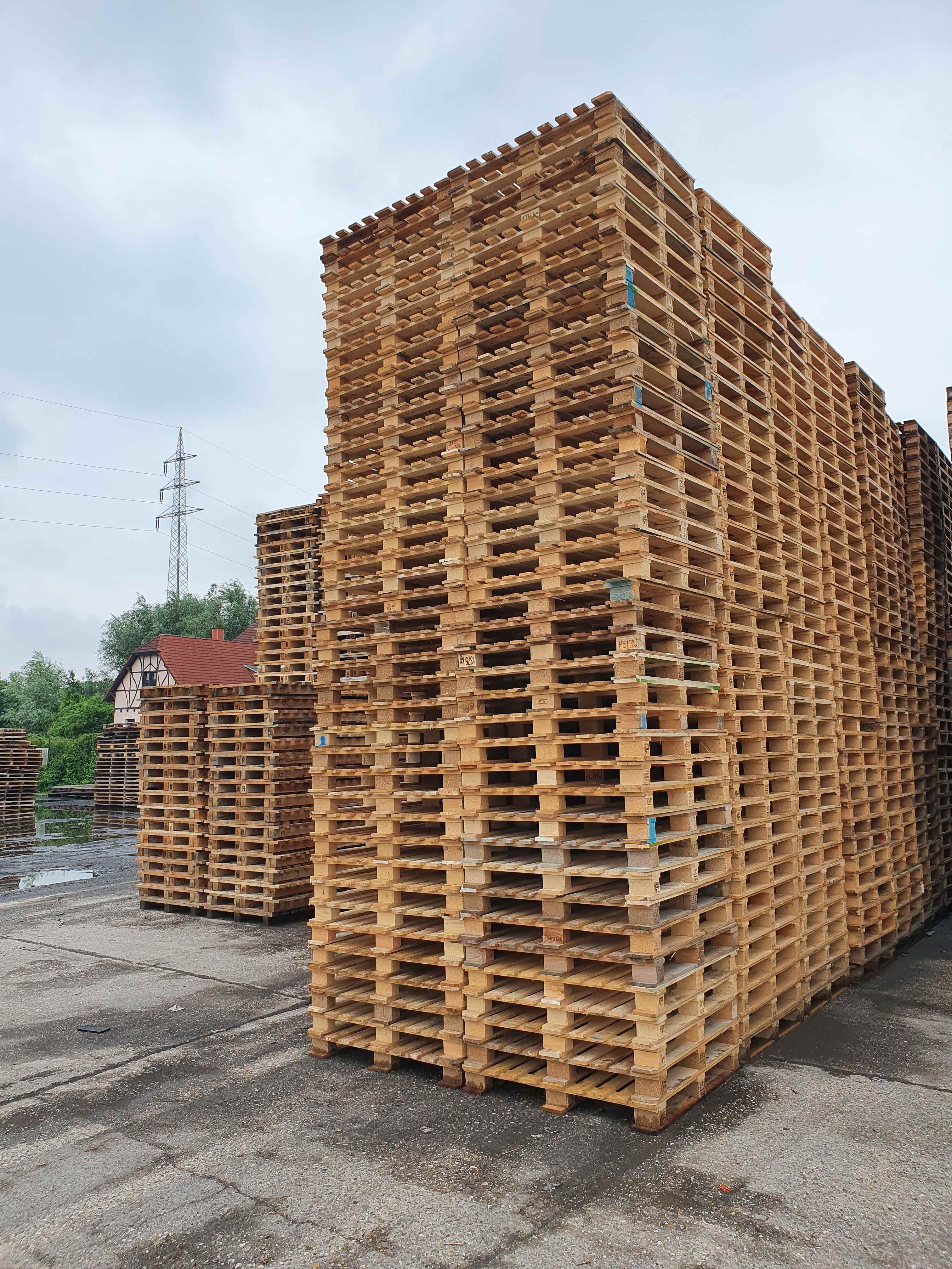 Klaus Lüdicke  - Der Umweltmakler, Meerbuscher Straße 191 in Meerbusch