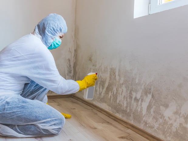 Images Voda Cleaning & Restoration