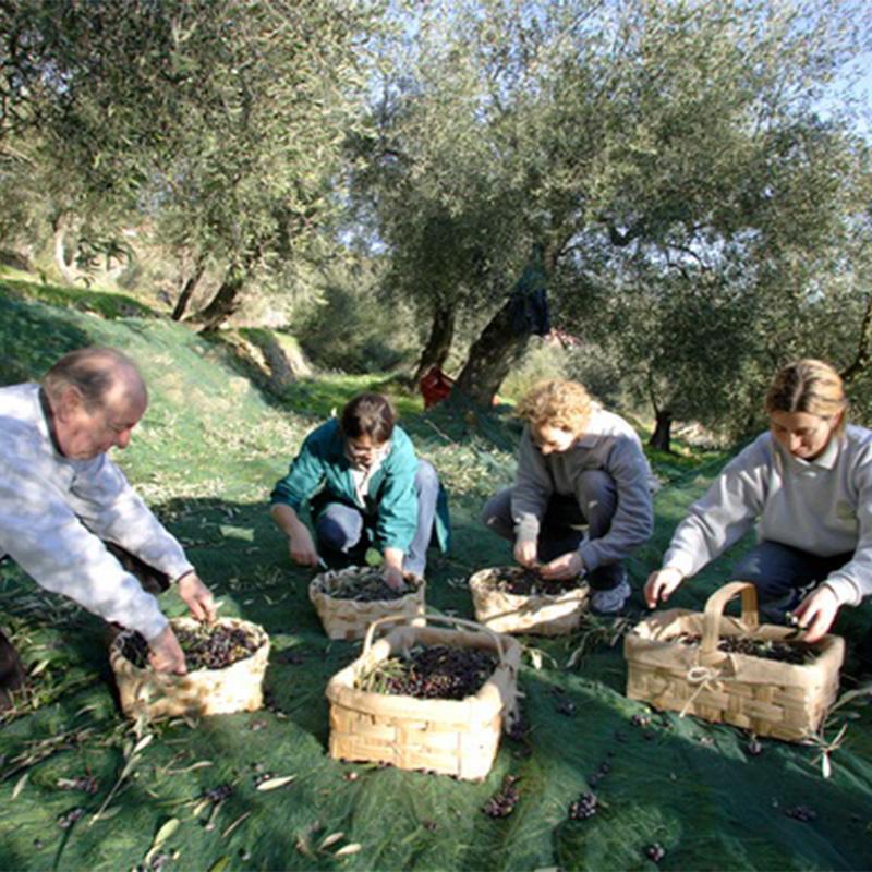 Images Azienda Agricola Sole e Sassi