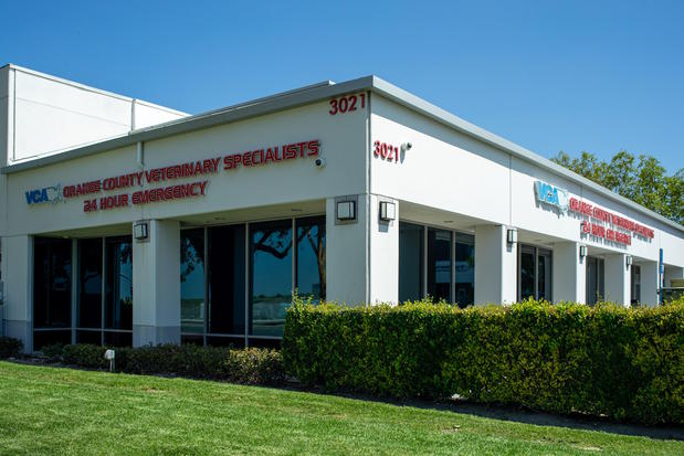 Images VCA Orange County Veterinary Specialists
