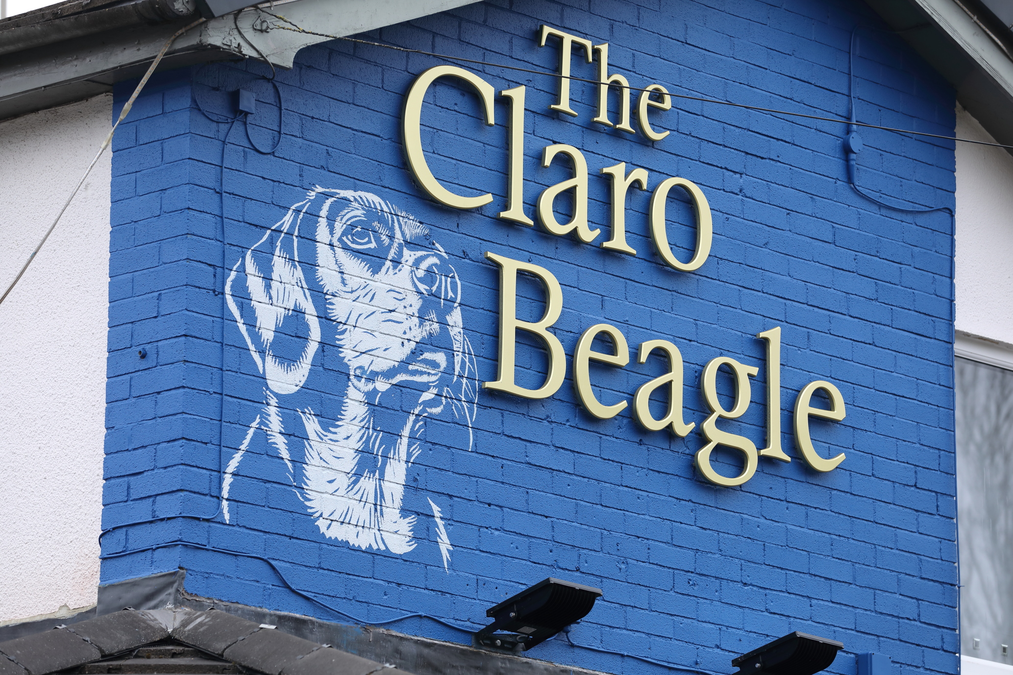 Images The Claro Beagle