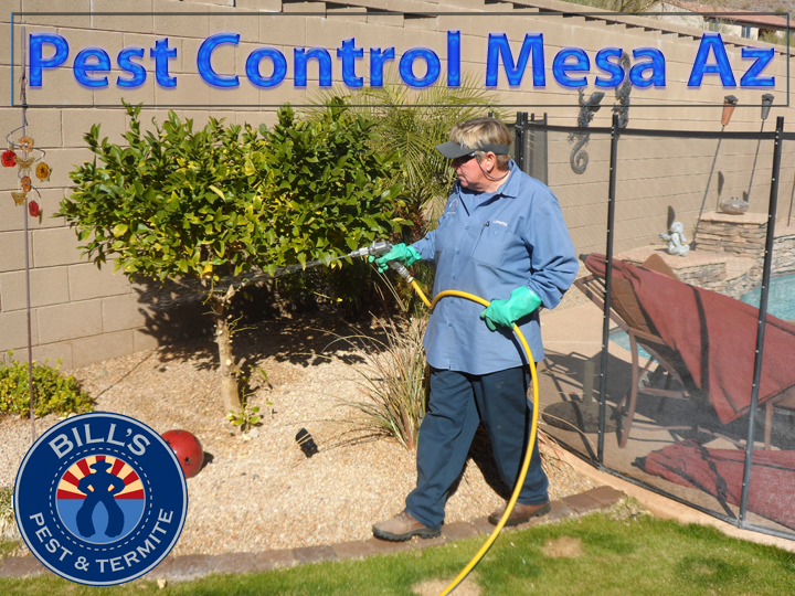 Bills Pest Termite Control Mesa Az Image