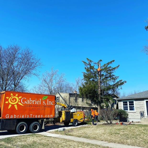 Images Gabriel's Landscape & Tree Services Inc.