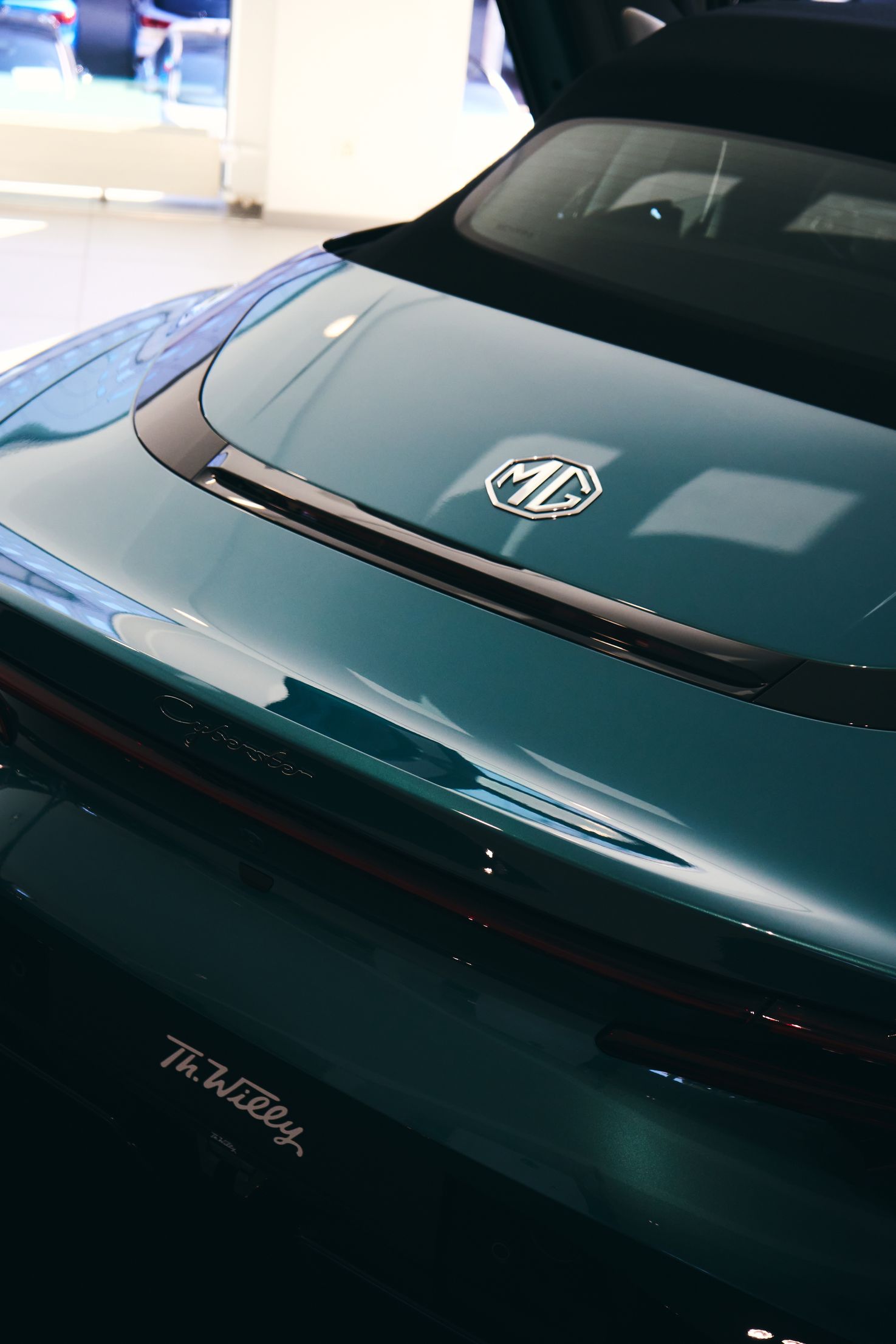 Bilder Th. Willy Zürich-Schlieren