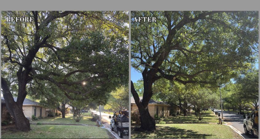 Before and After 