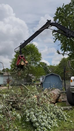 Images Peterman Brothers Tree Service LLC