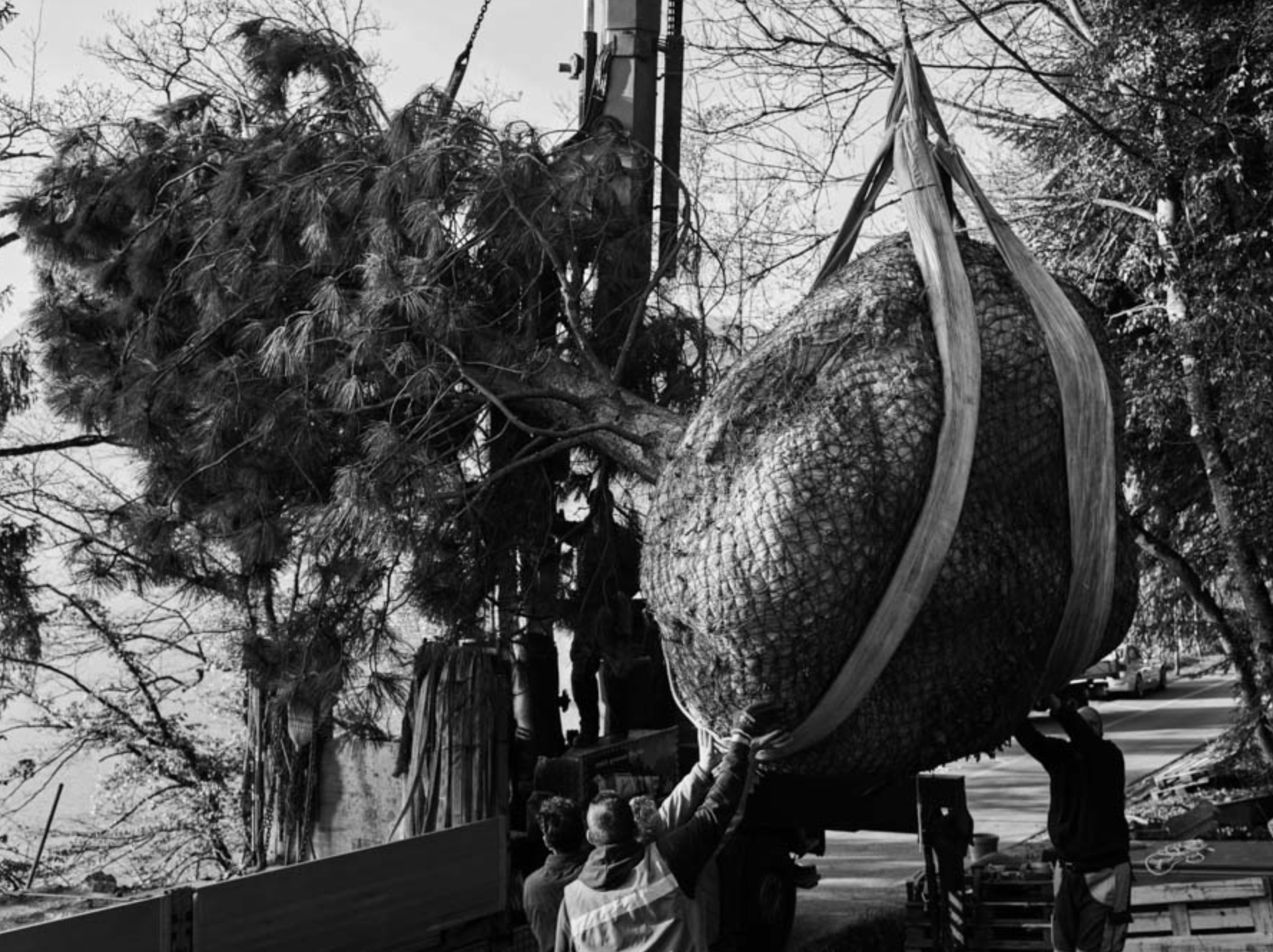 Select Garten GmbH, Im Chapf 11 in Erlenbach ZH