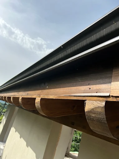 Images Canalones Diez Jose