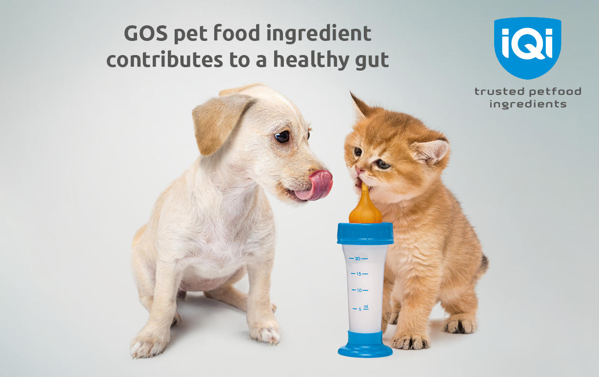 Foto's IQI Trusted Petfood Ingredients