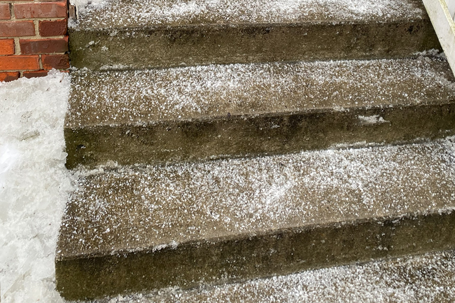 Rooted Lawn & Landscape Image