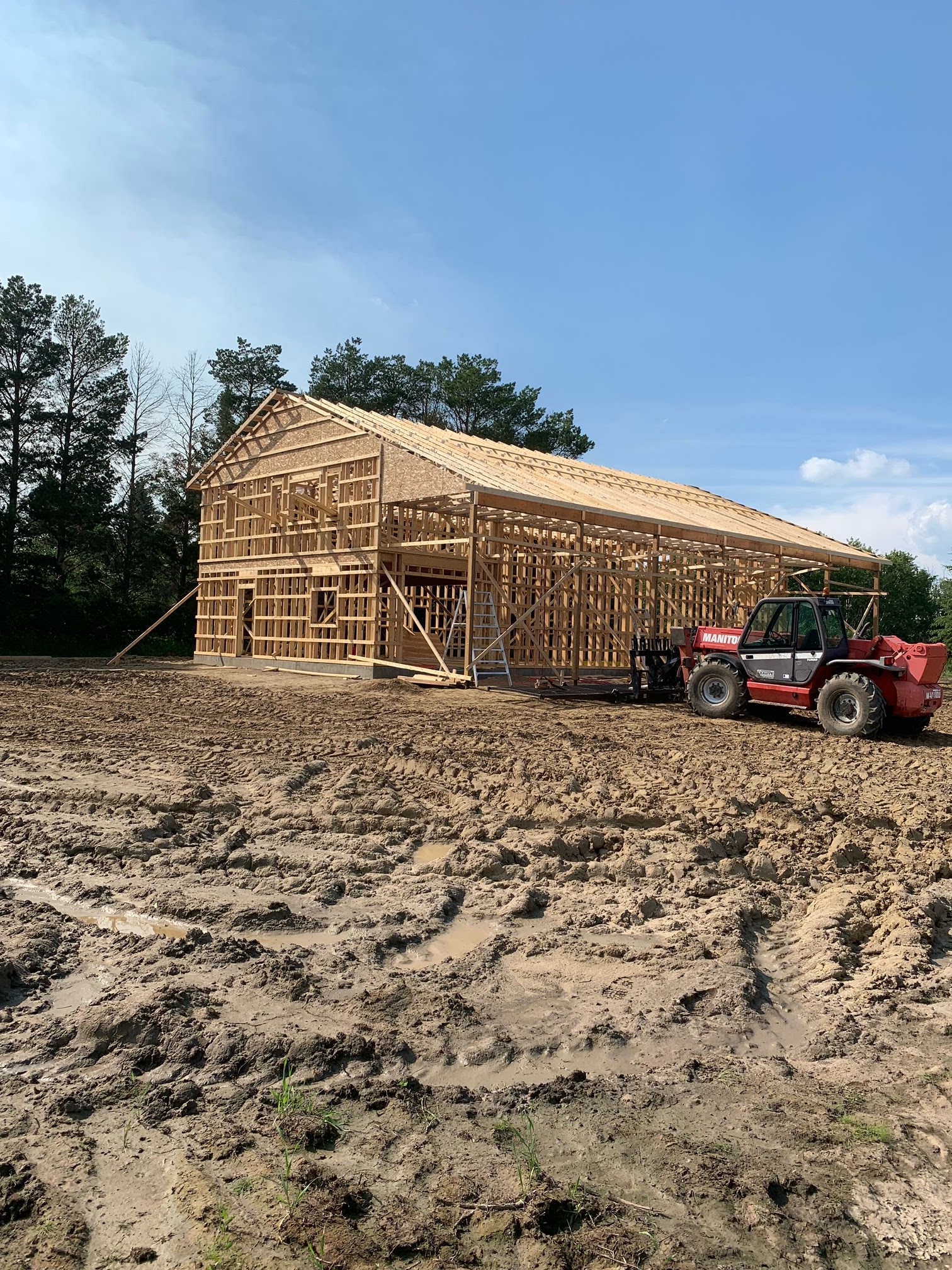 Images The Blue Spruce Builder