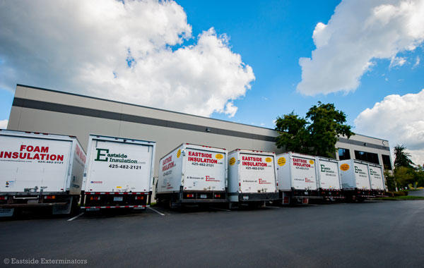 Eastside Insulation (a division of Eastside Exterminators) trucks parked during the Friday technicians' meeting - ready to go out and help people!