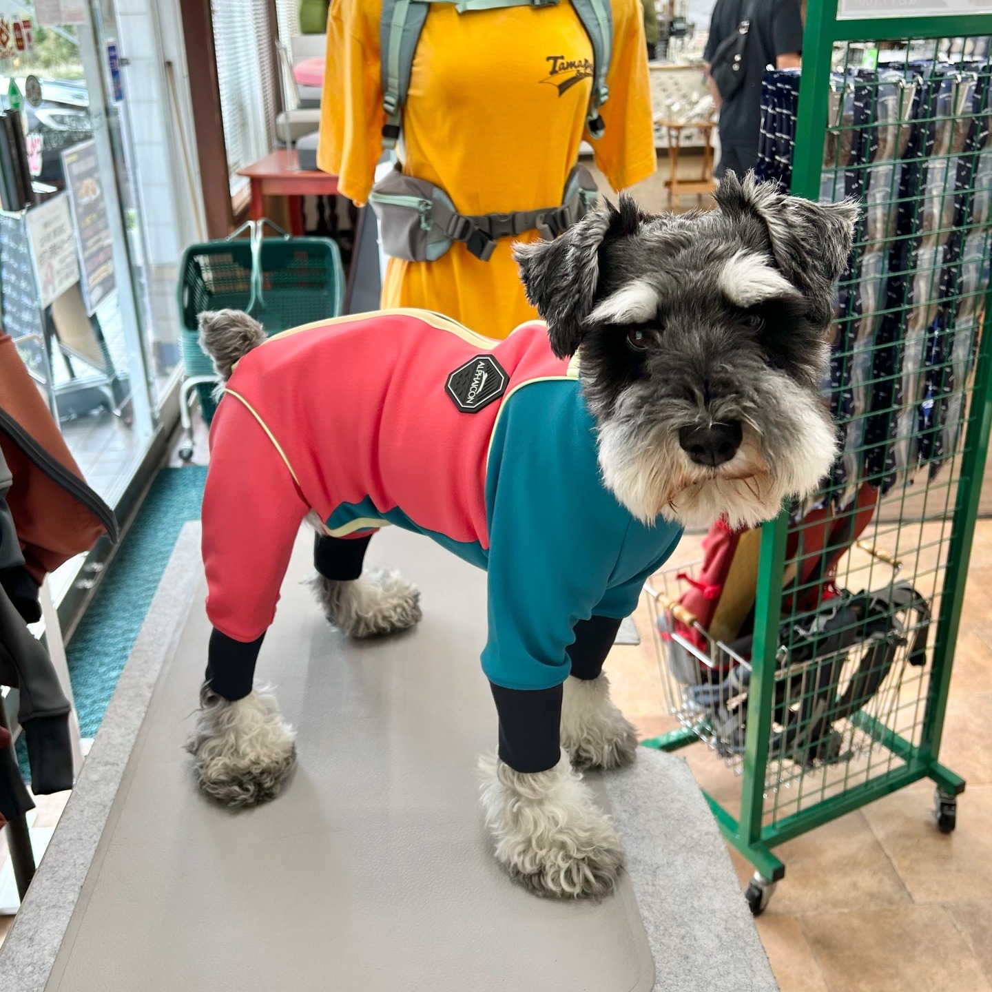 Images たまとポチ 宇津木店