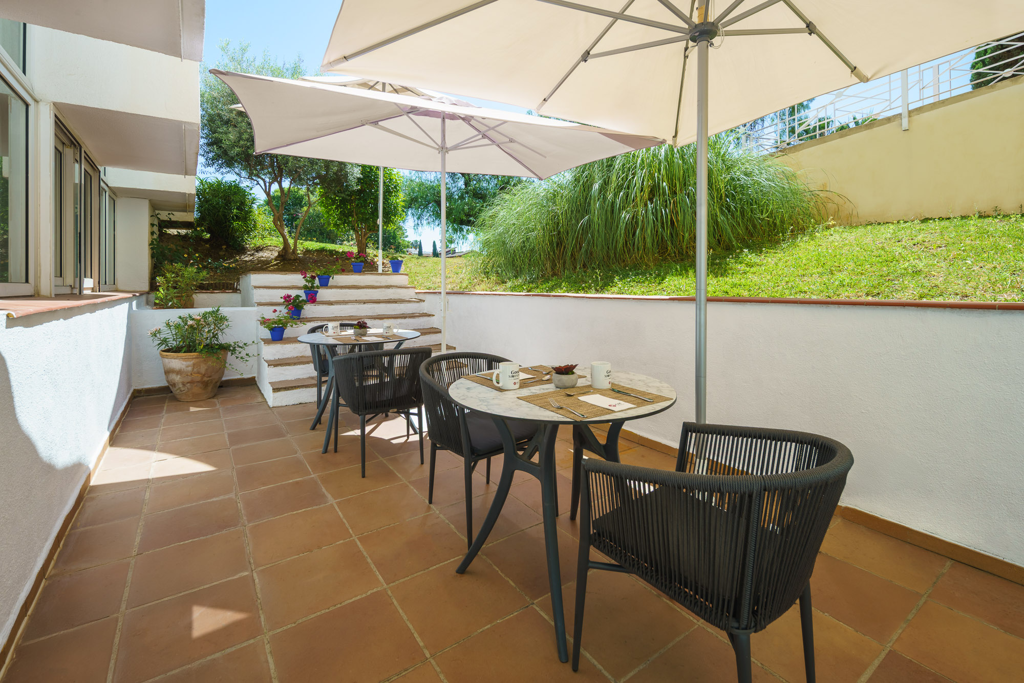 Galería de imágenes