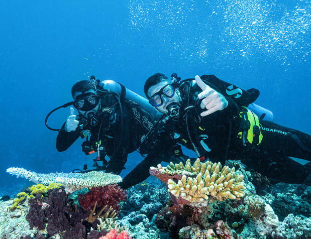 Images Dive Outdoors