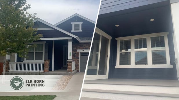 Images Elk Horn Painting - Denver