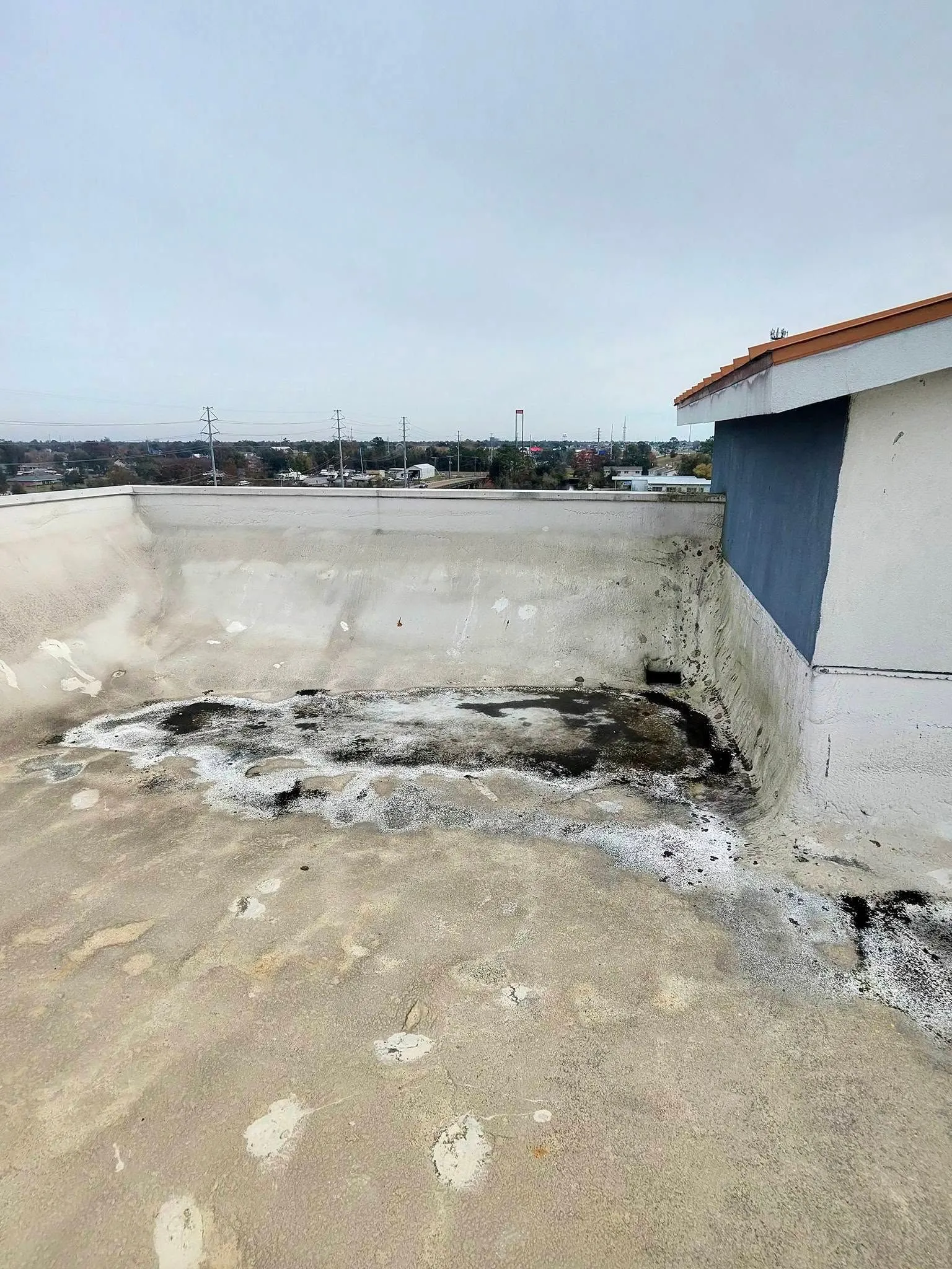 Commercial flat roof displaying ponding water, discoloration, and biological growth caused by poor d 