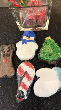 Images Frank's Pet Shop