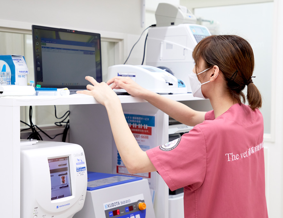 Images The vet 南麻布動物病院